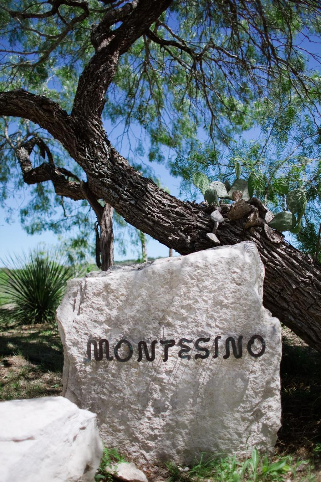 Villa Montesino Ranch Lodging à Wimberley Extérieur photo